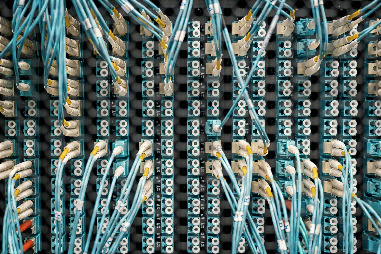 A dense wall of teal fibre patch leads on a distribution frame