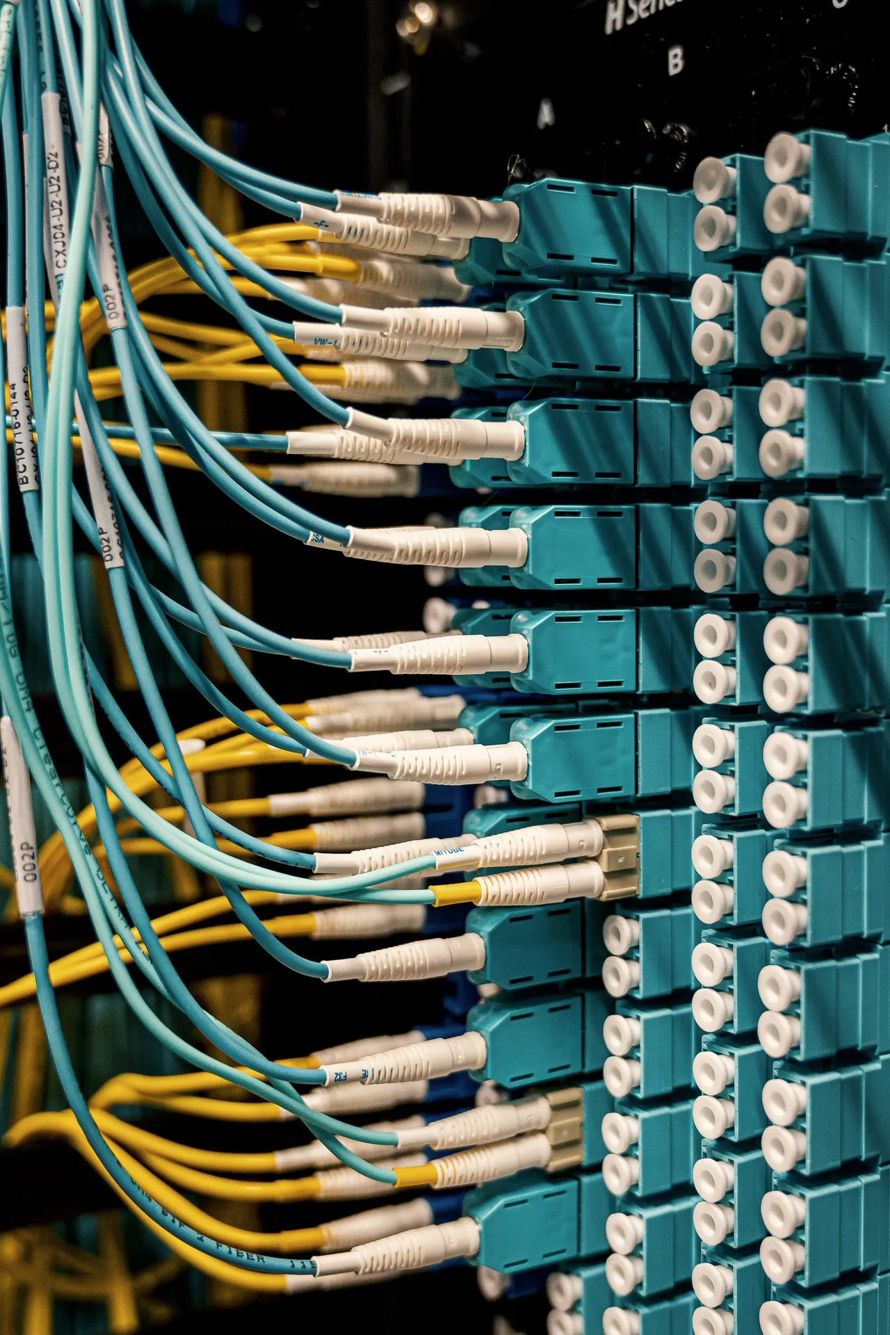 Teal fibre patch leads with white connectors plugged into a distribution panel