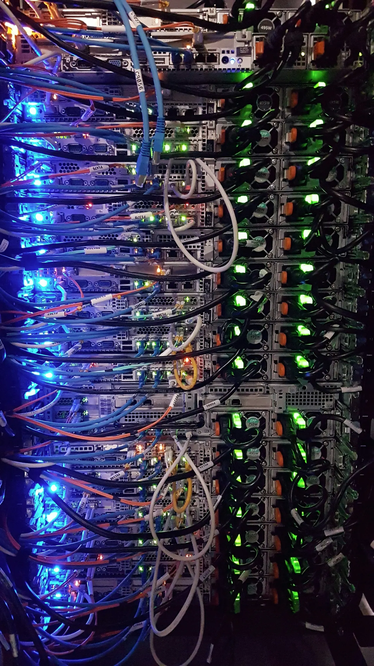 A patch panel with multicoloured leads and link lights, top to bottom of the rack